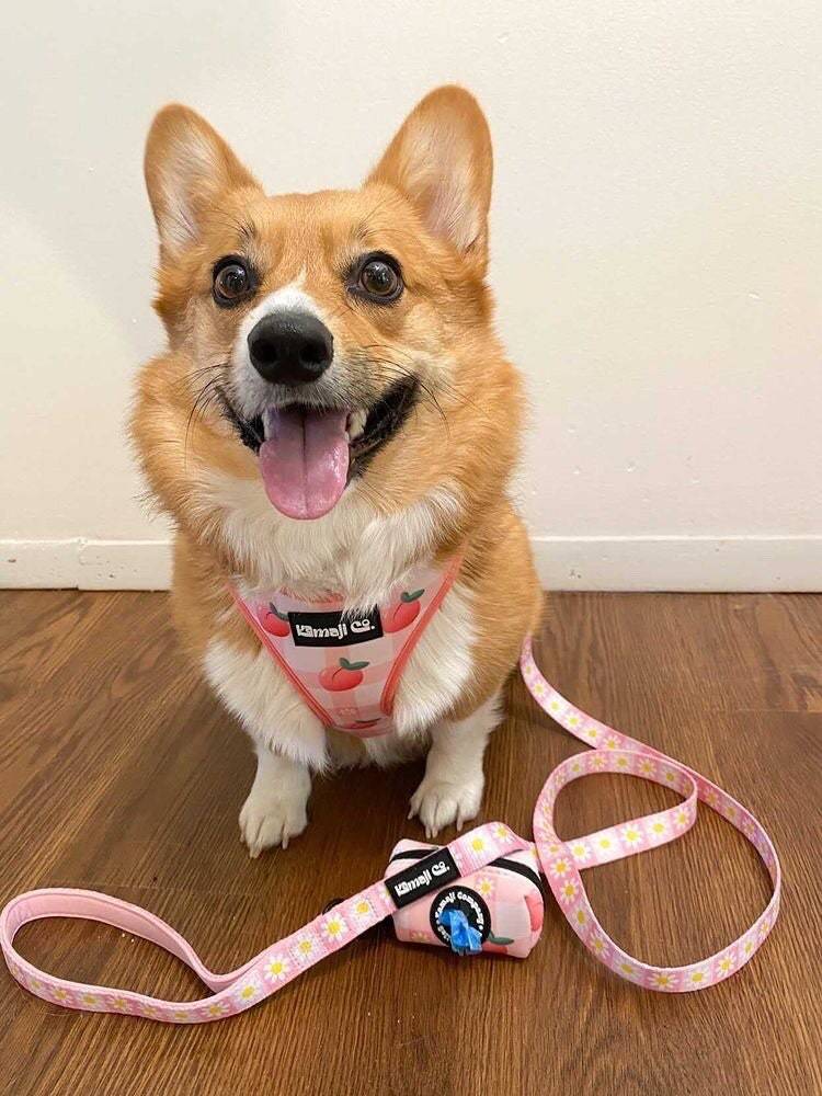The Precious Peach Leash