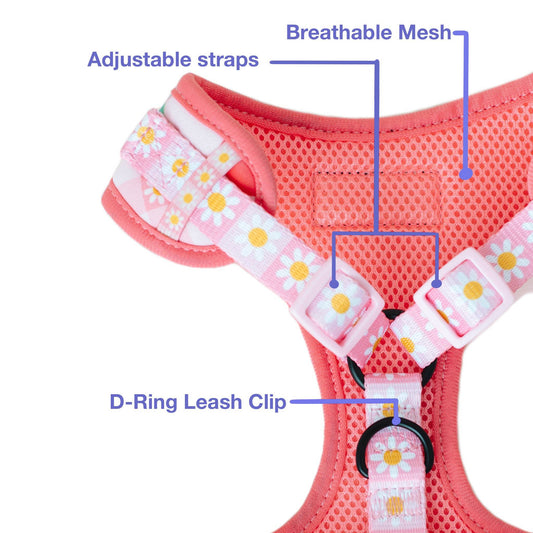 The Precious Peach Harness
