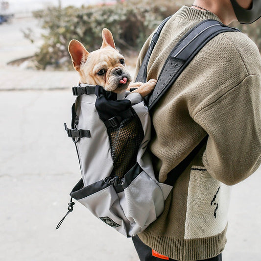 The Trailblazer Backpack