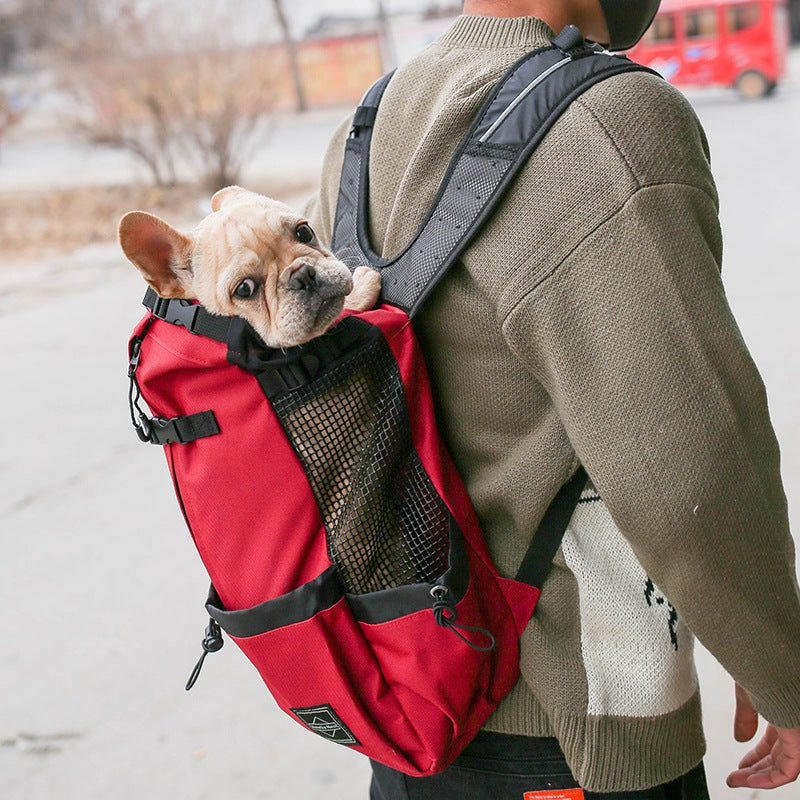 The Trailblazer Backpack