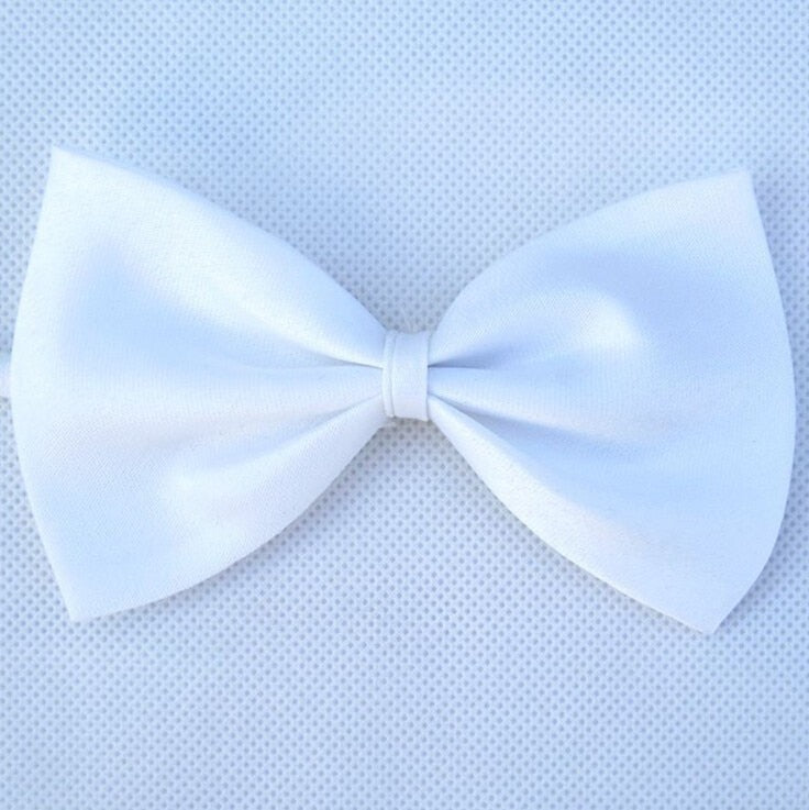 White adjustable bow tie for a small dog