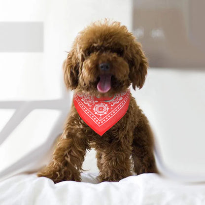 Red color option for bandana scarf collar