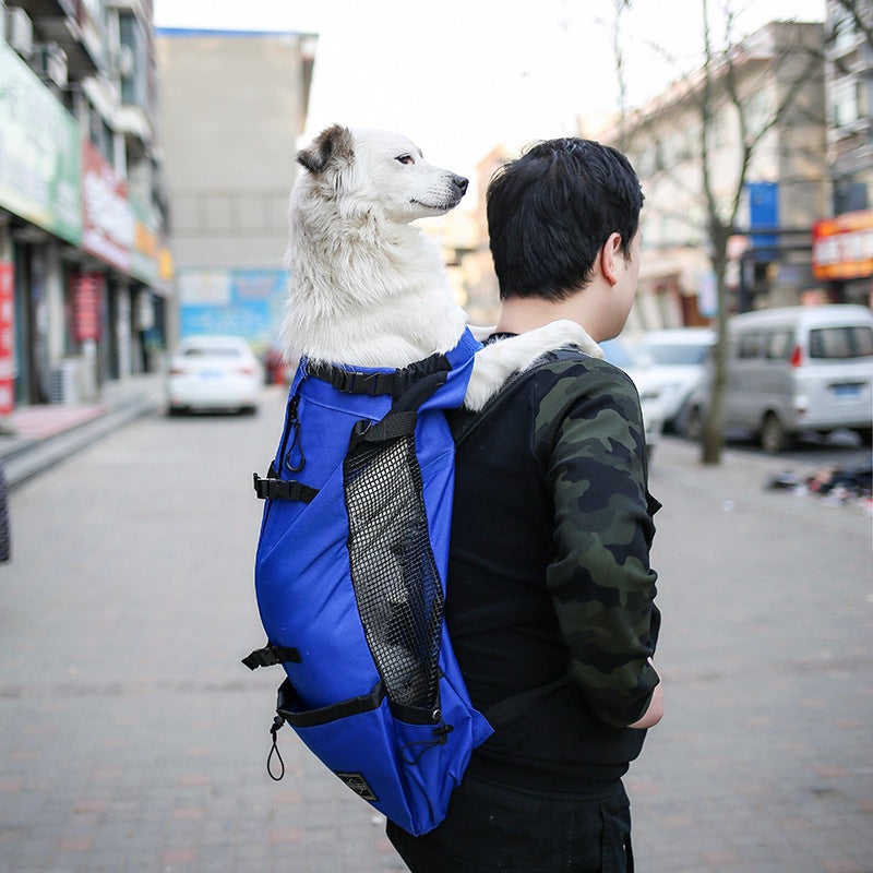 The Trailblazer Backpack