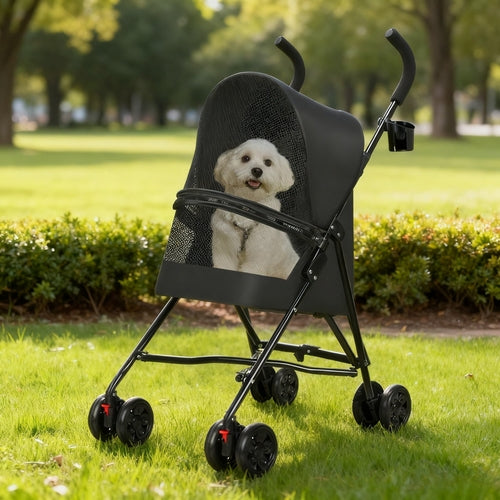 The Everyday Stroller