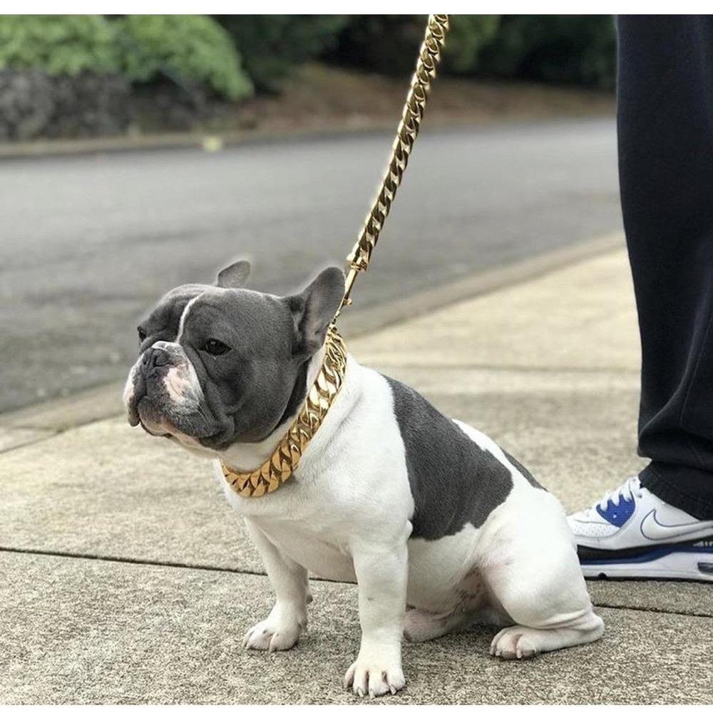 The Kilo Chain Leash