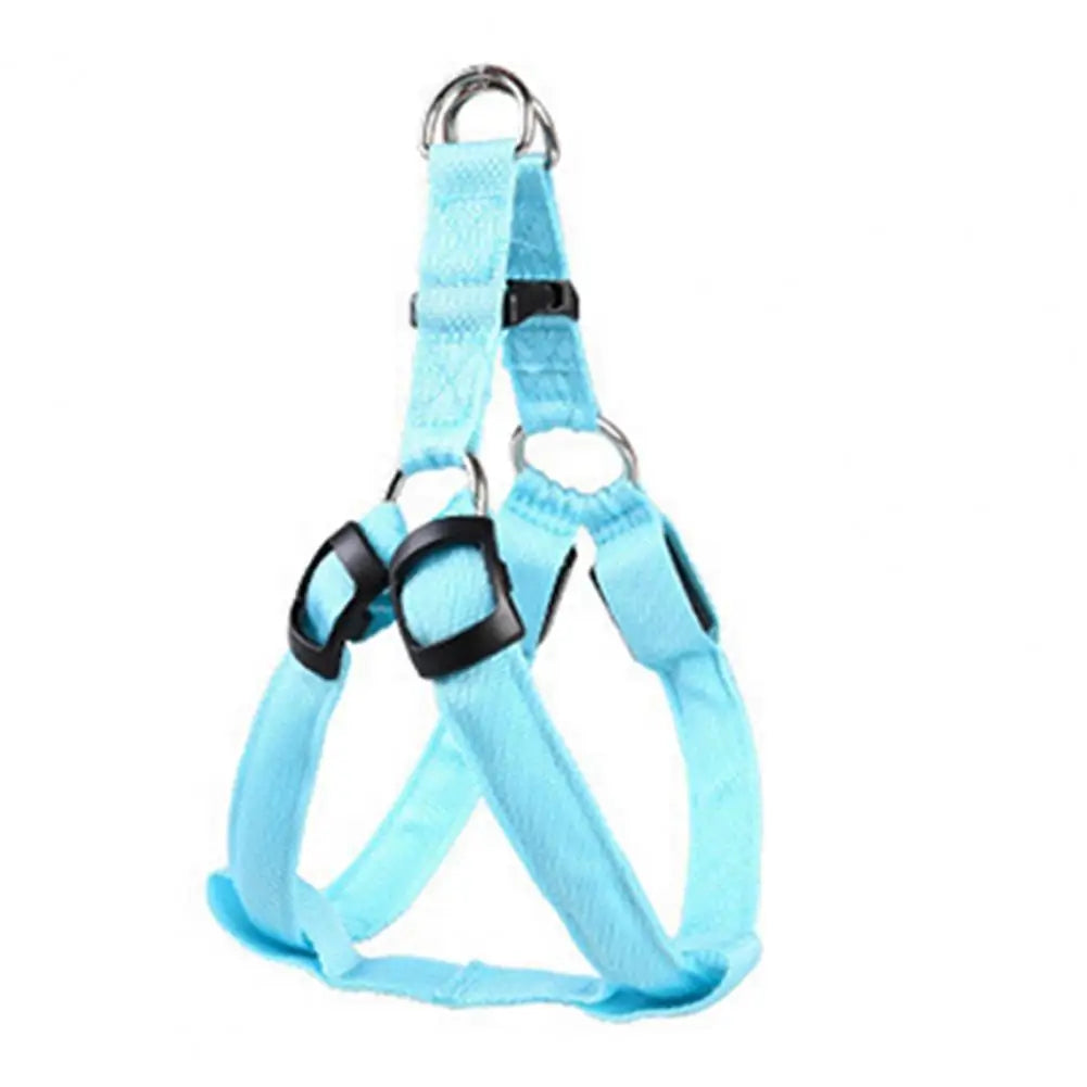Everyday LED Harness