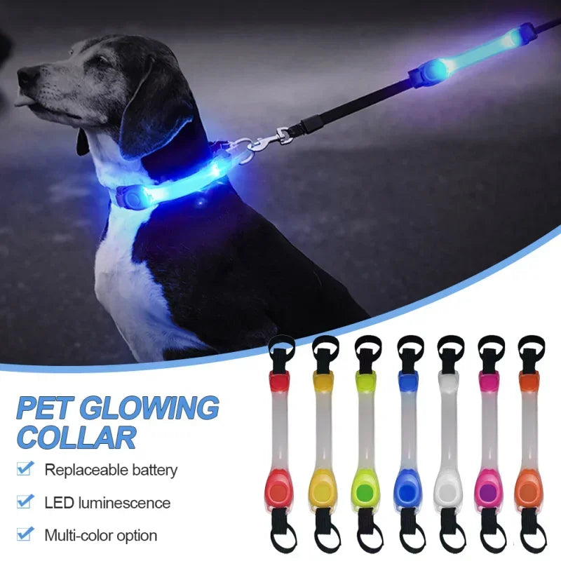 Firefly LED Collar