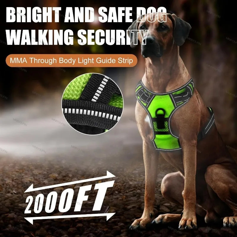 Glow Guard LED Harness