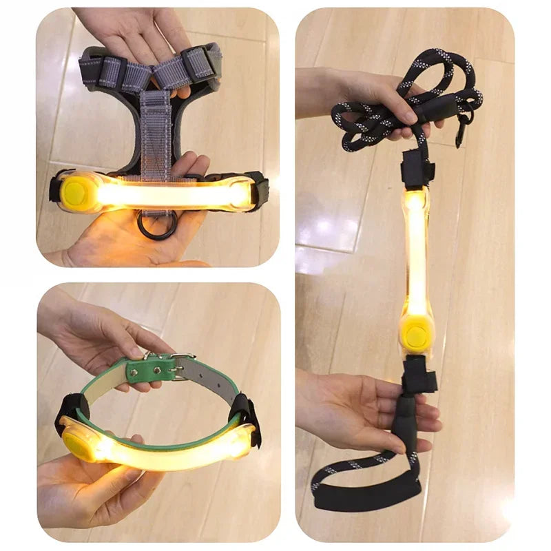 Firefly LED Collar