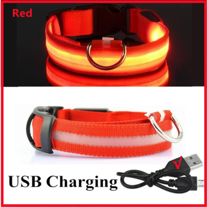 LED Safety Collar