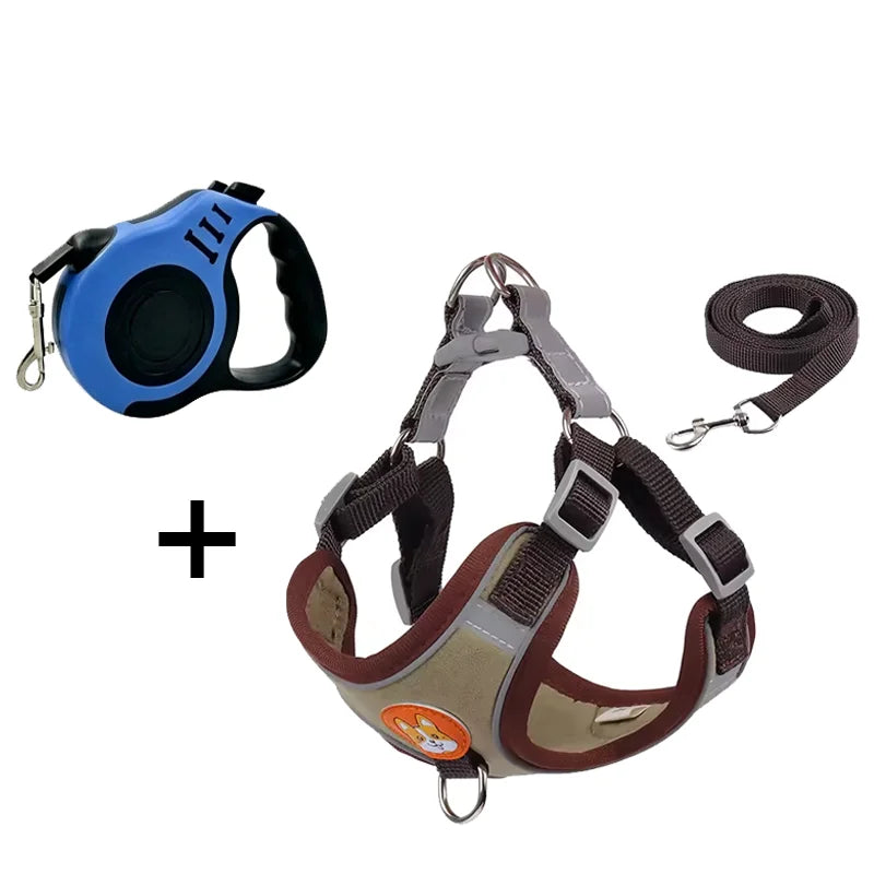 Reflective Walk Set