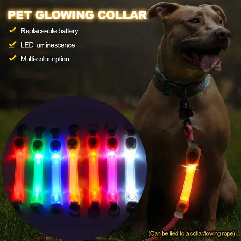 Firefly LED Collar