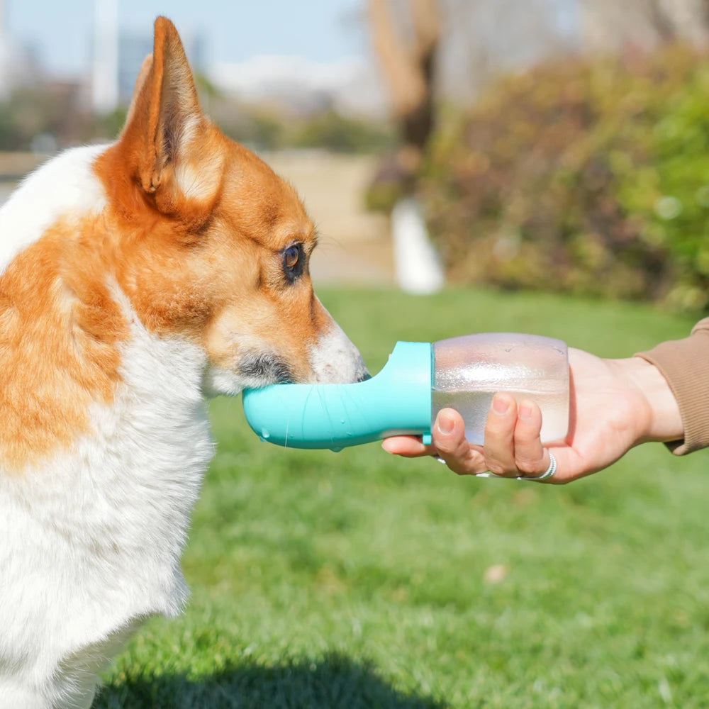 Portable Water Bottle
