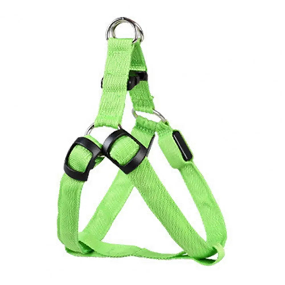 Everyday LED Harness