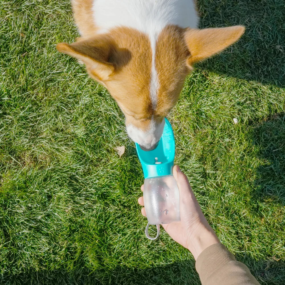 Portable Water Bottle