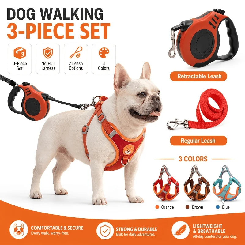 Reflective Walk Set