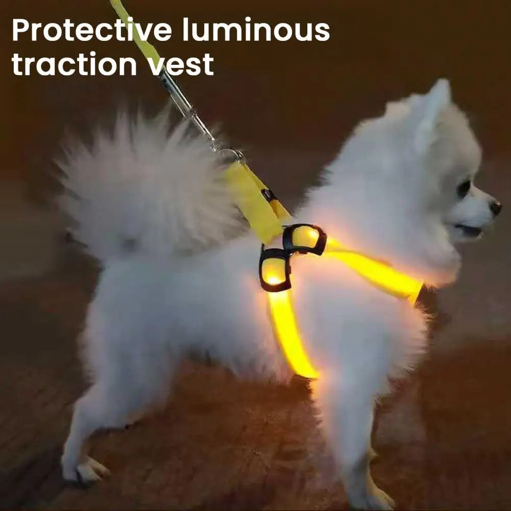 Everyday LED Harness