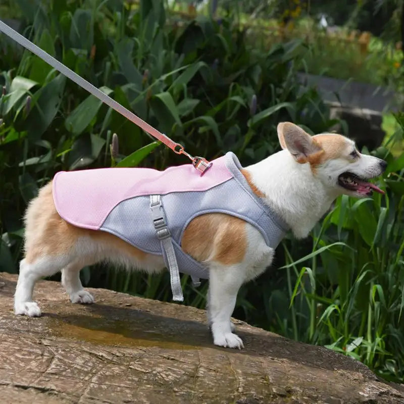 Summer Cooling Vest