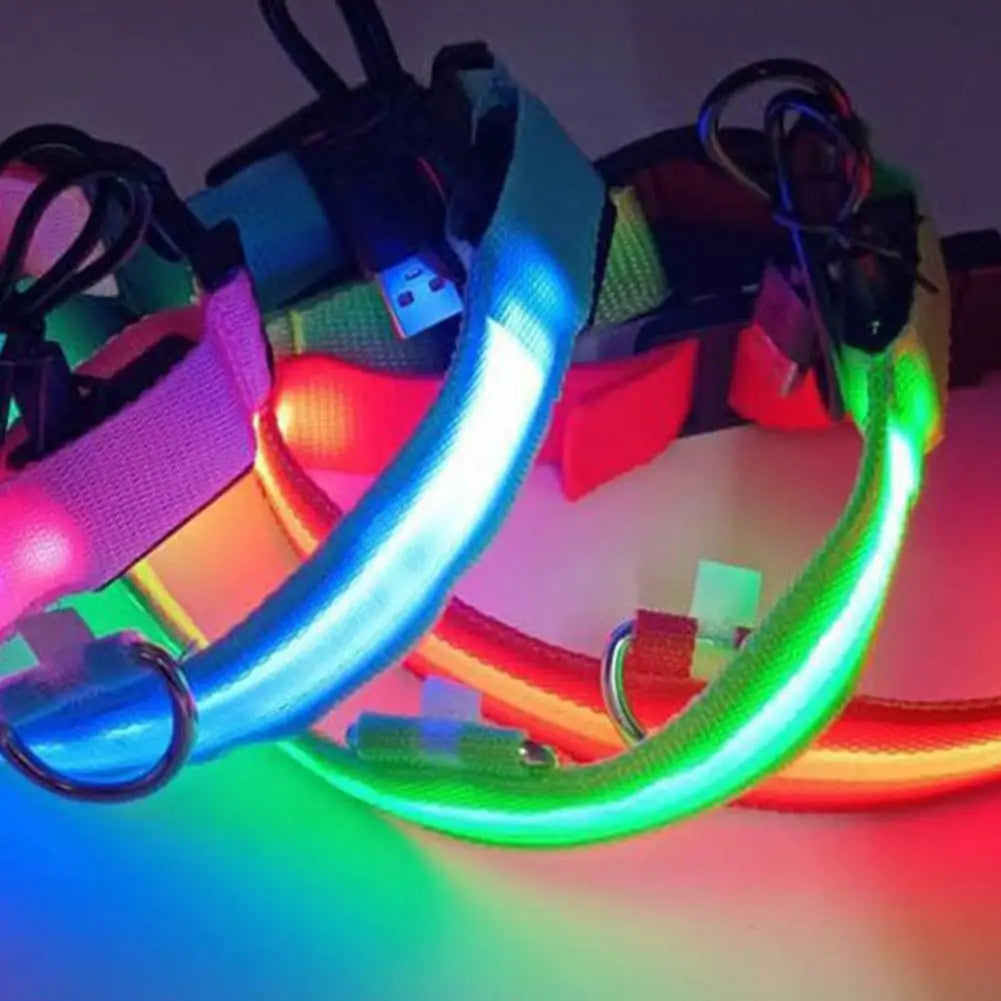 Everyday LED Harness
