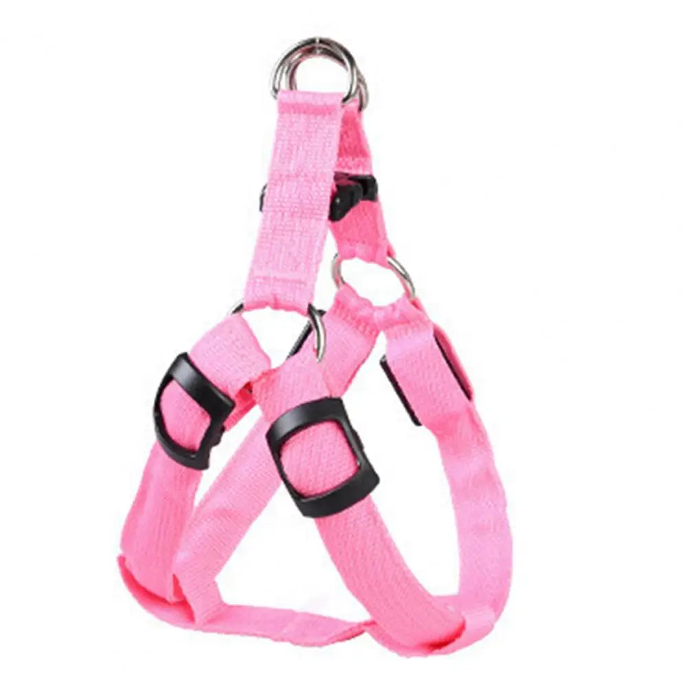 Everyday LED Harness