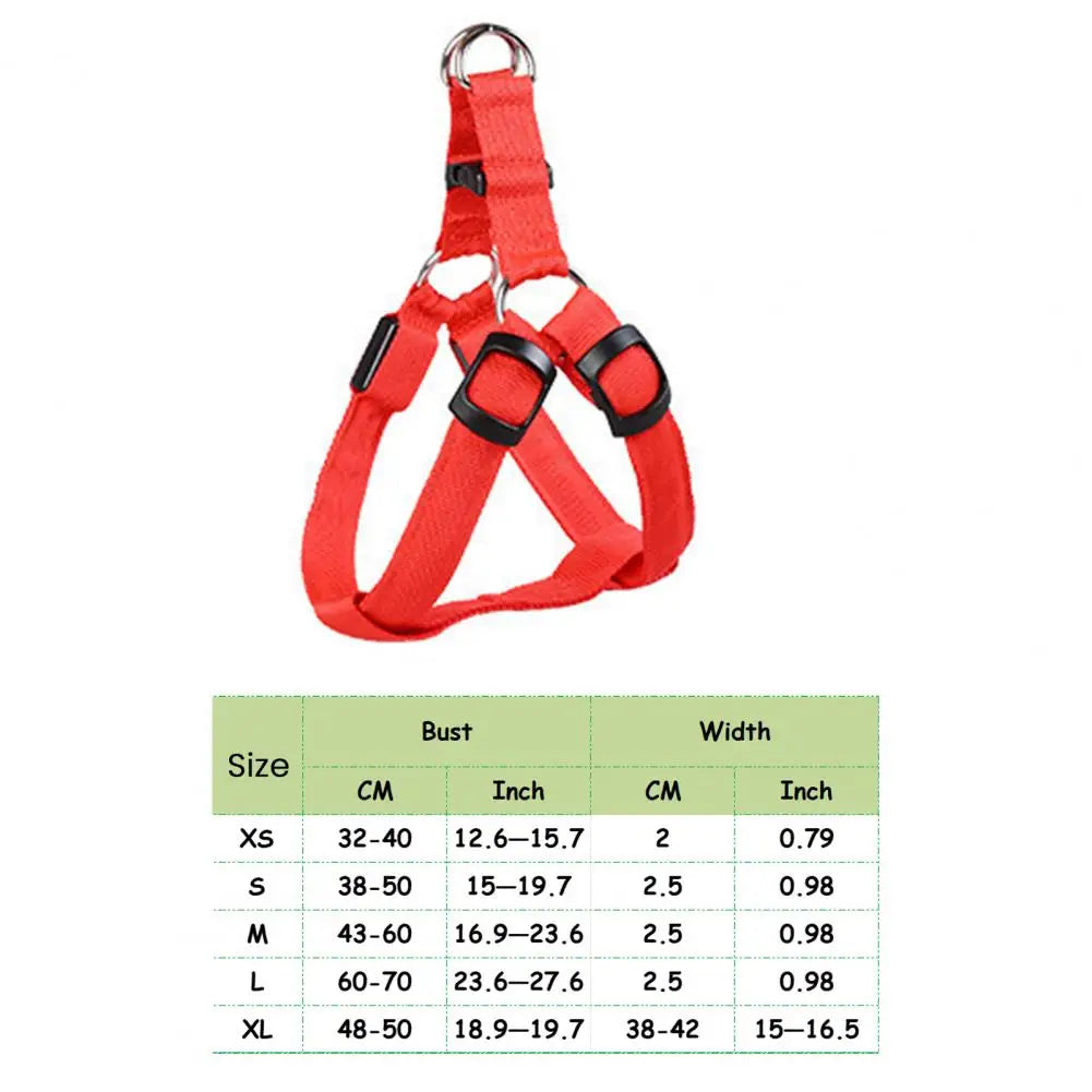 Everyday LED Harness