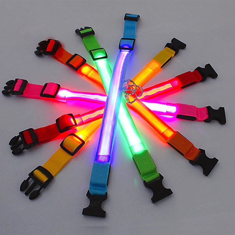 LED Safety Collar