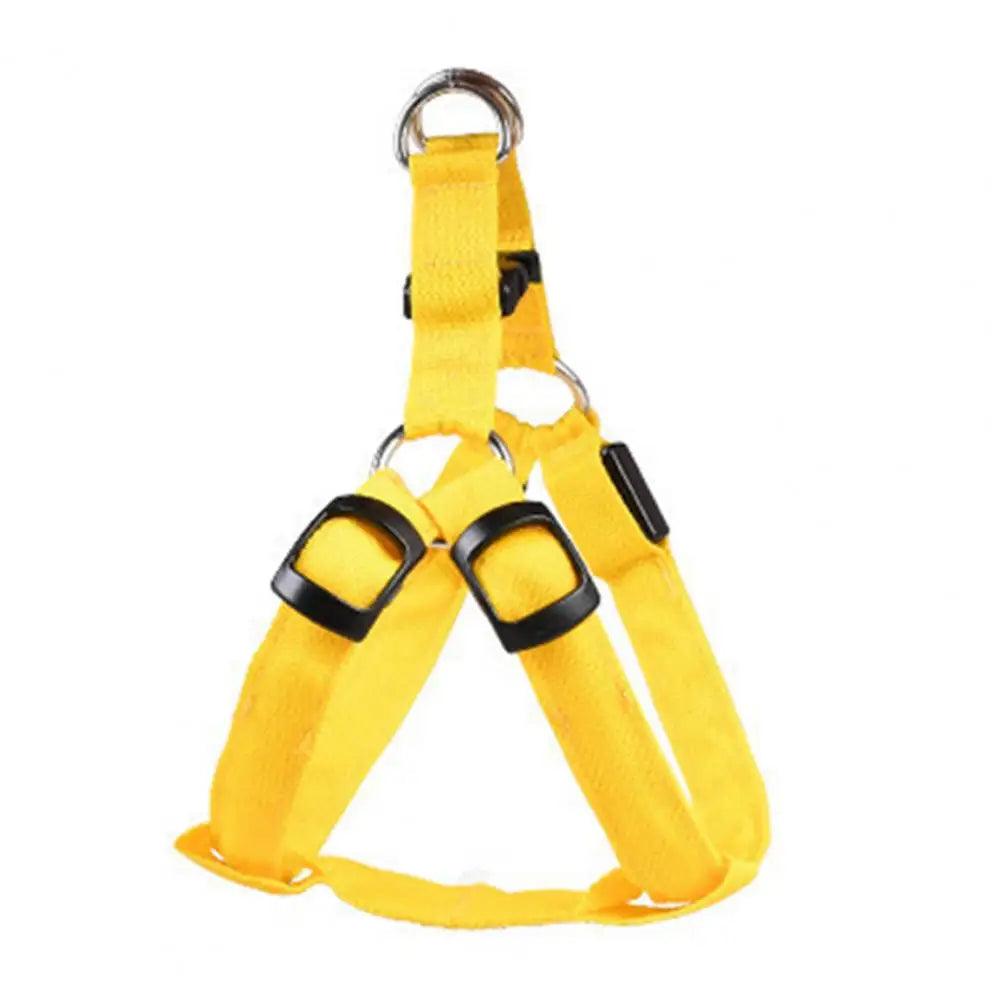 Everyday LED Harness