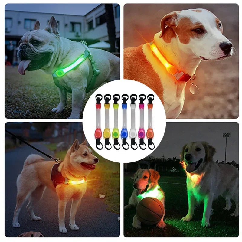 Firefly LED Collar
