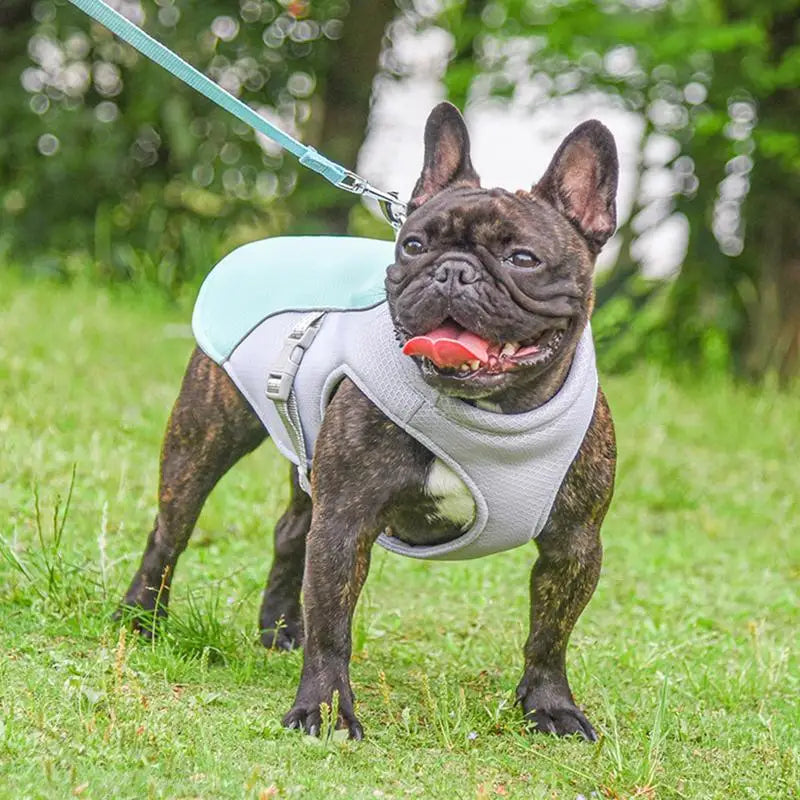 Summer Cooling Vest