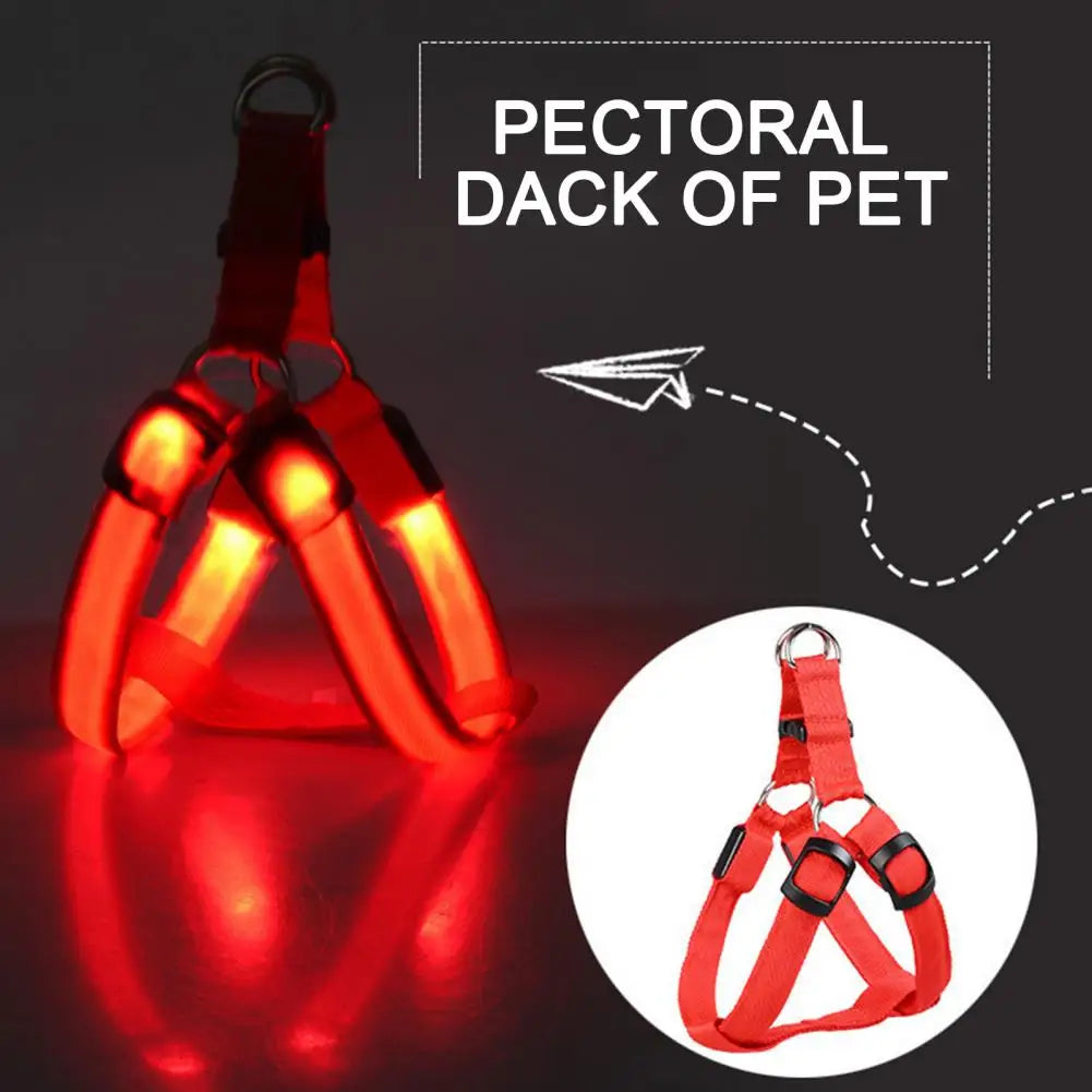 Everyday LED Harness