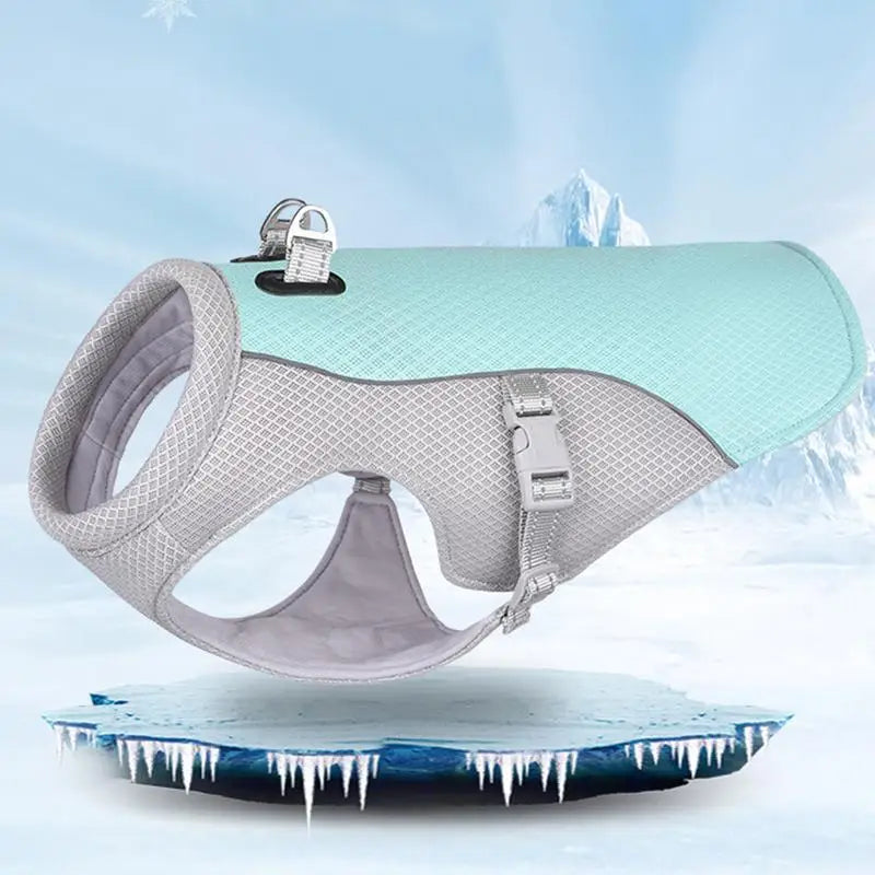 Summer Cooling Vest
