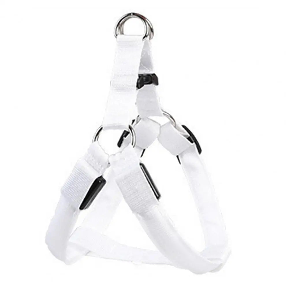 Everyday LED Harness