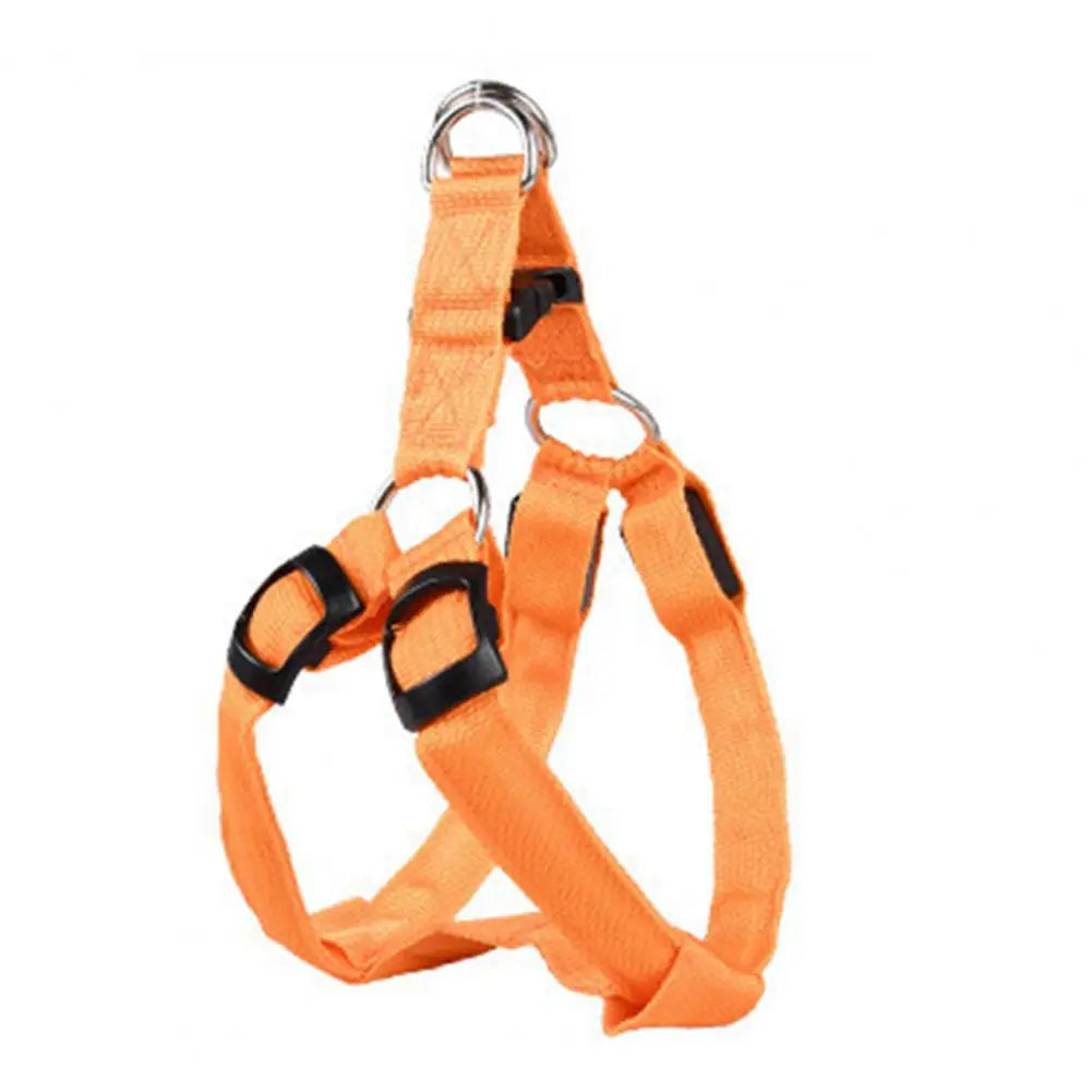 Everyday LED Harness