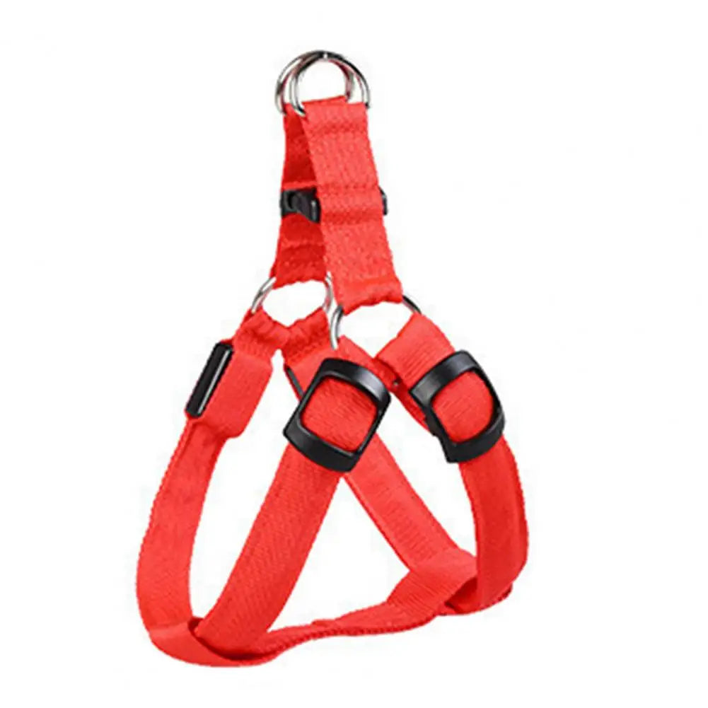 Everyday LED Harness