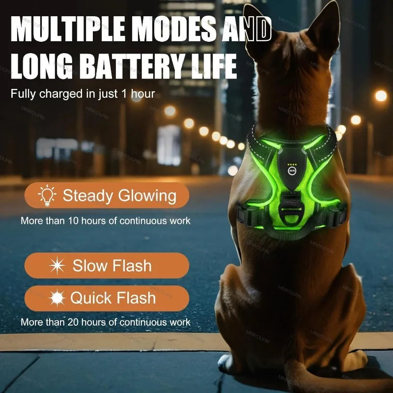 Glow Guard LED Harness