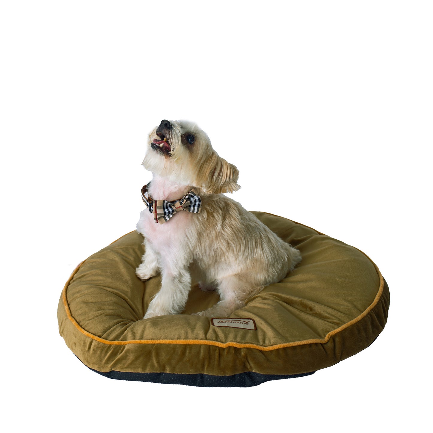 The Everyday Bed