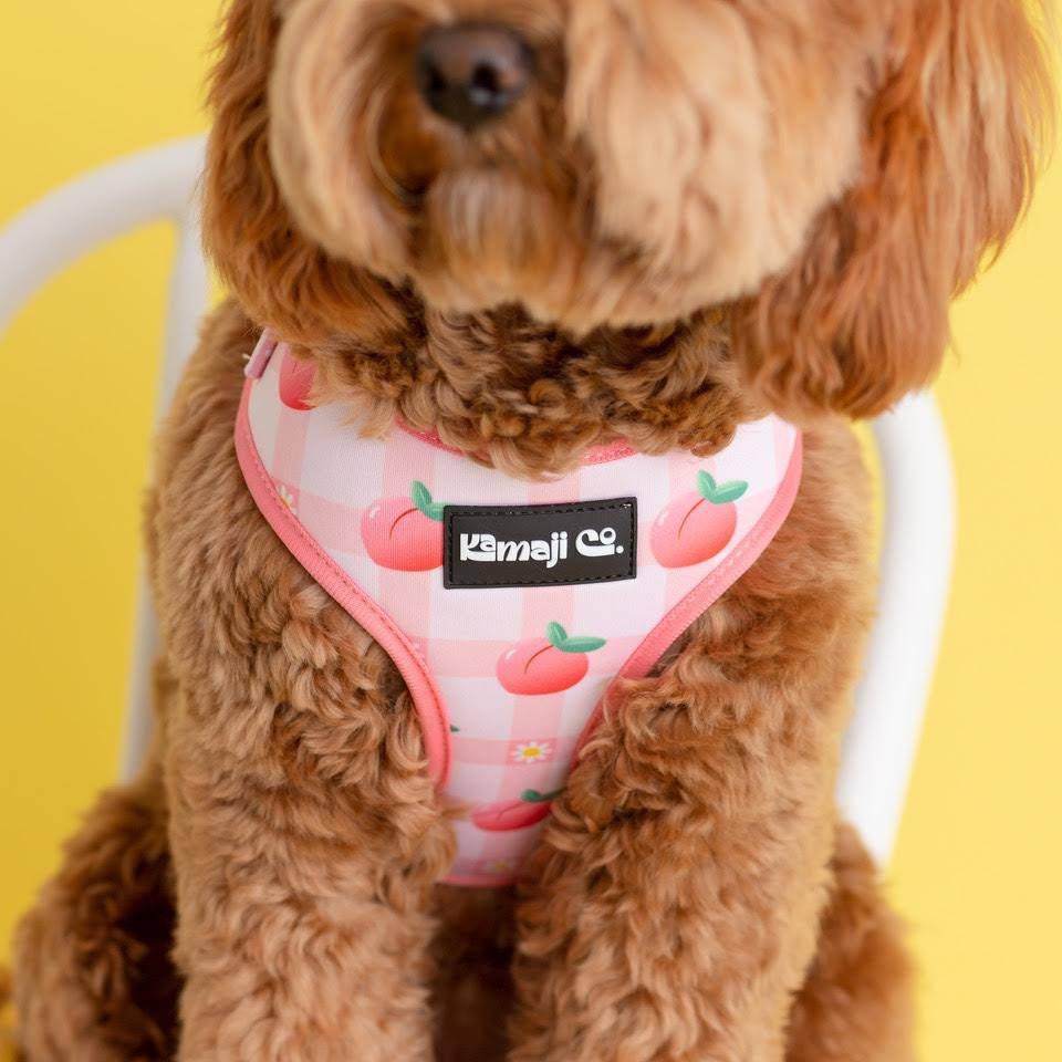 The Precious Peach Harness