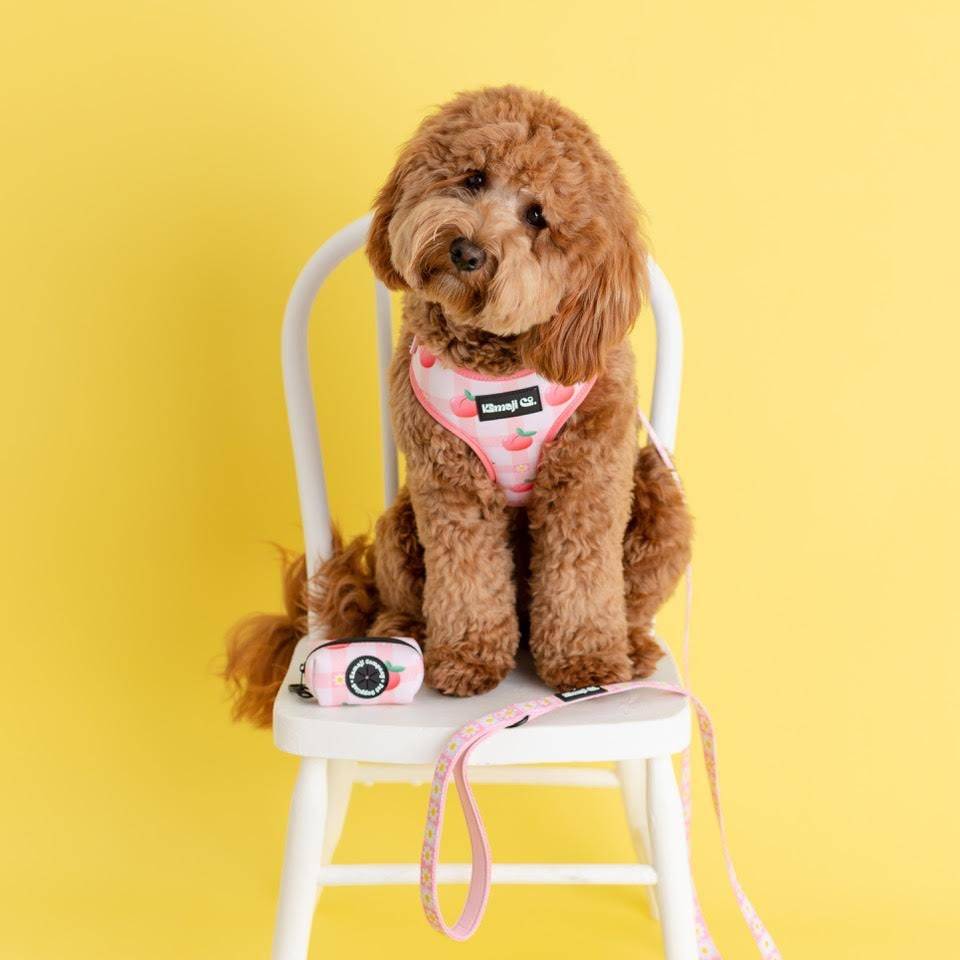 The Precious Peach Leash