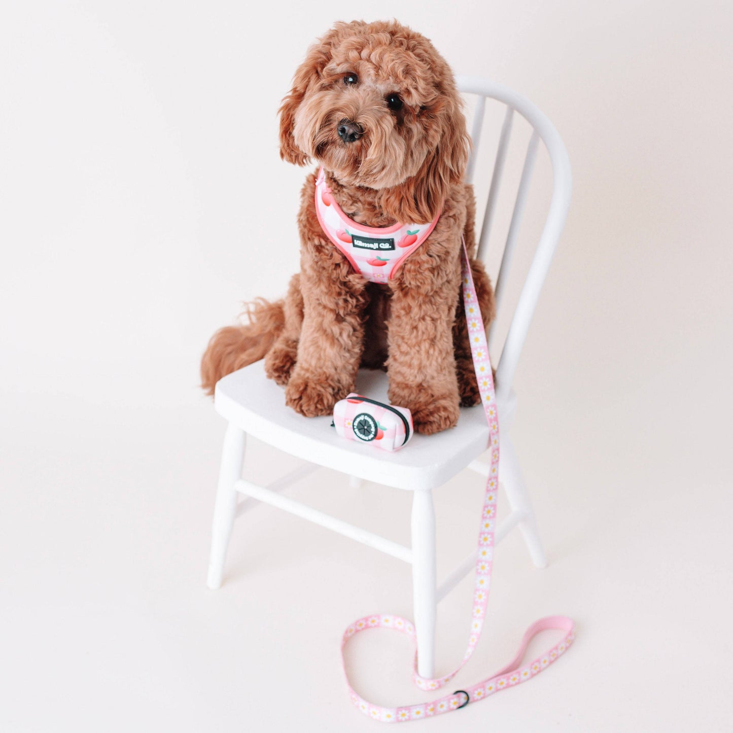 The Precious Peach Leash