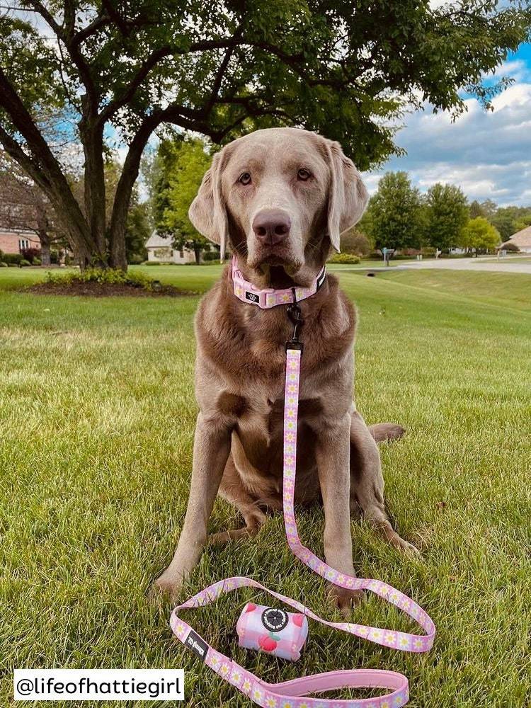 The Precious Peach Leash