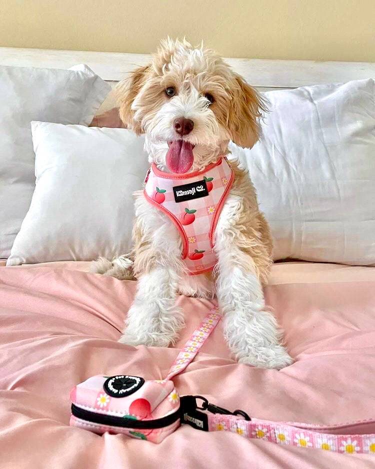The Precious Peach Leash