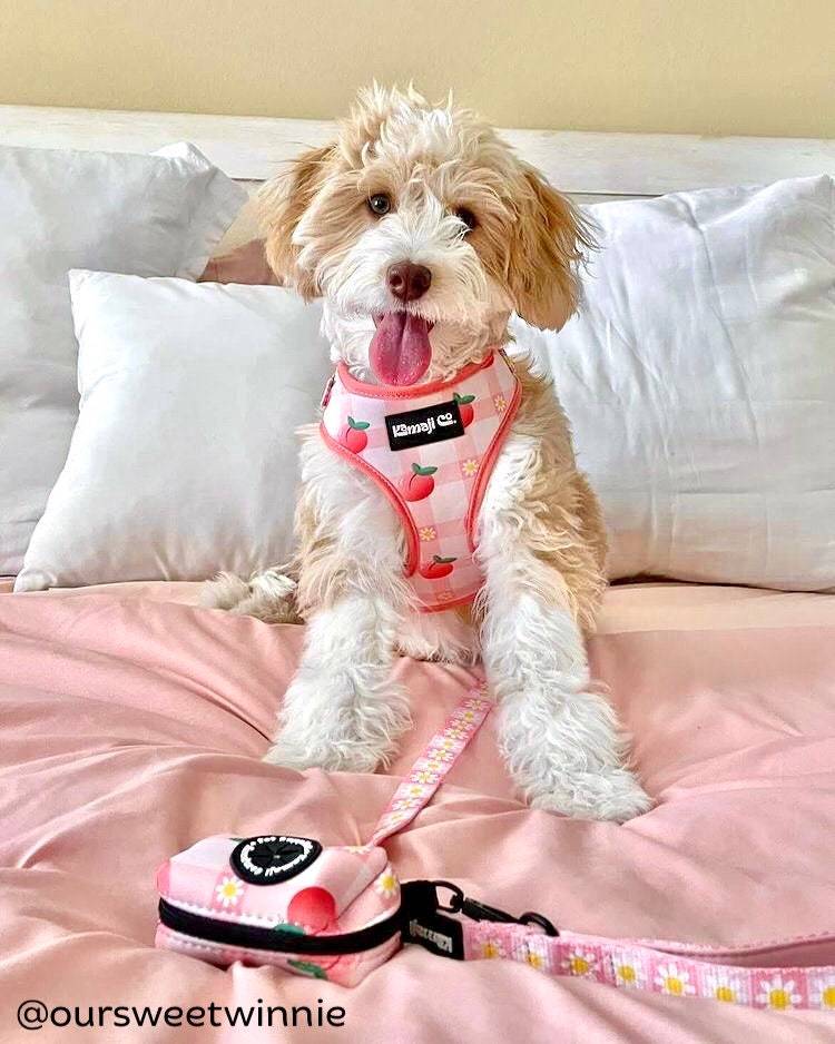 The Precious Peach Harness