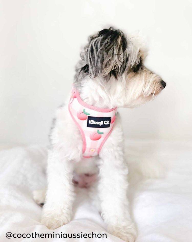 The Precious Peach Harness