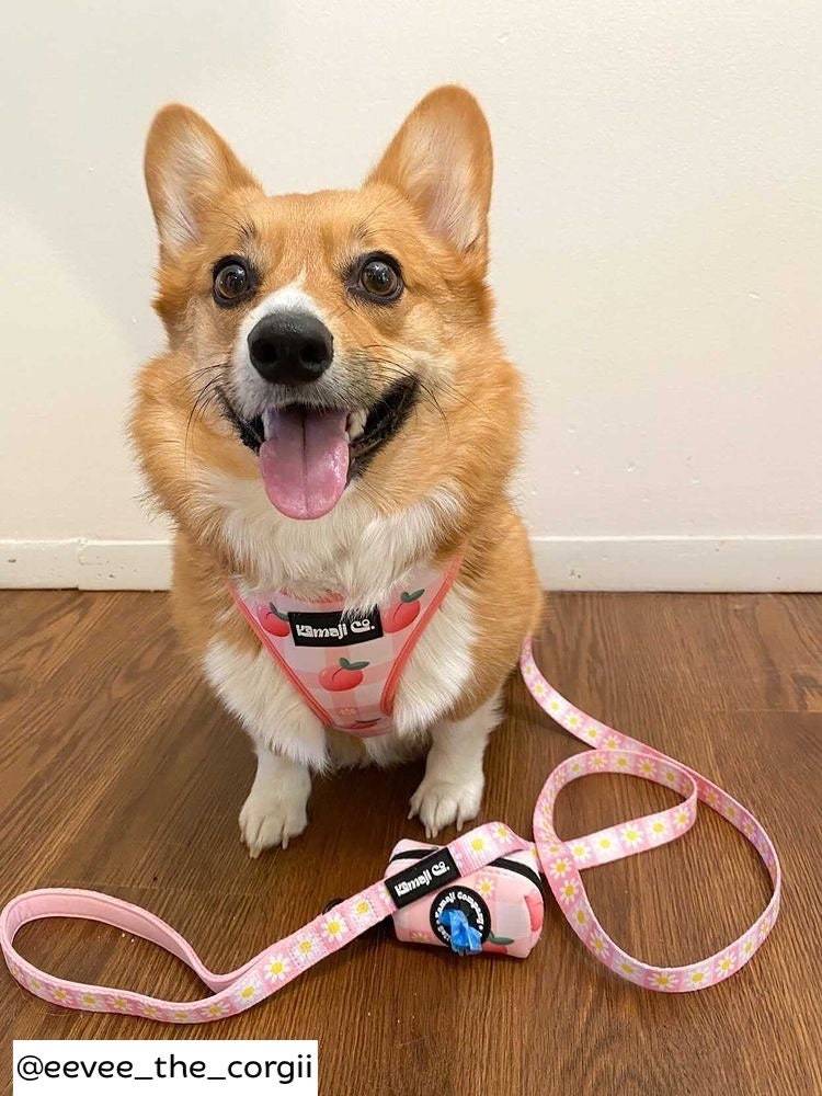 The Precious Peach Harness
