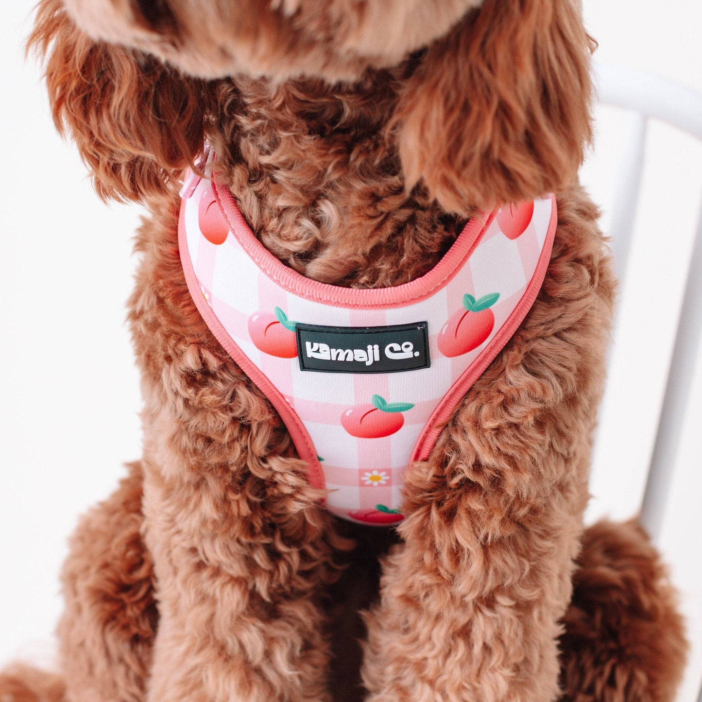 The Precious Peach Harness